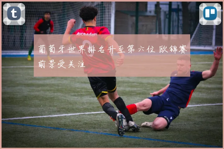 葡萄牙世界排名升至第六位 欧锦赛前景受关注