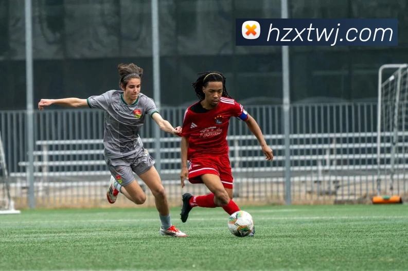 九游网页版本官网品牌故事